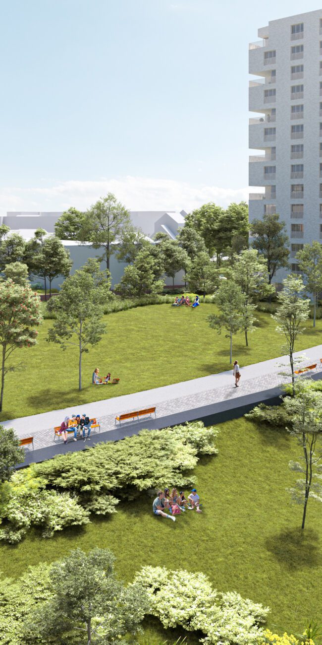 View of the finished park: lawn with young trees, a paved path with benches, water along the edge and a residential tower behind